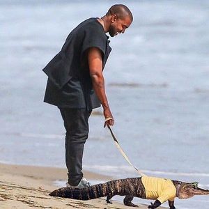 Meet your Posher, Logan